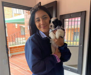 dogo-pets-experiencia2