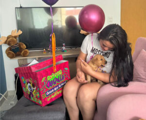 dogo-pets-experiencia6
