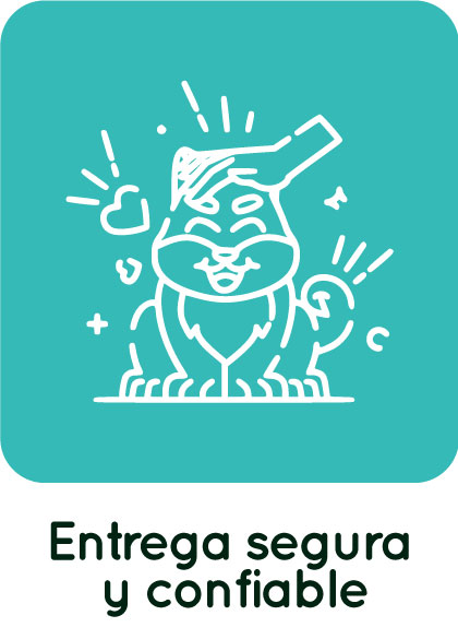 entrega-segura