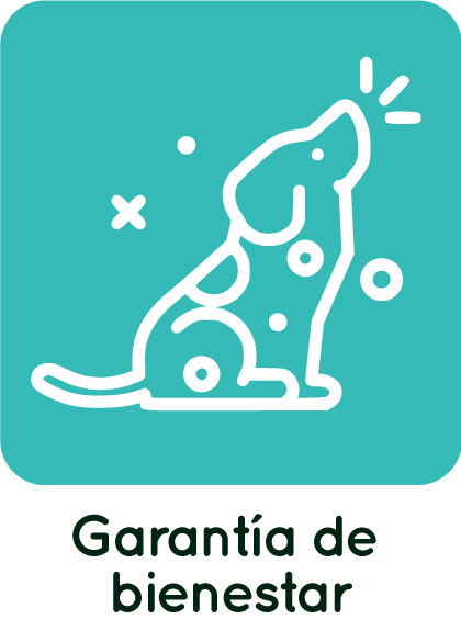 garantia-de-bienestar